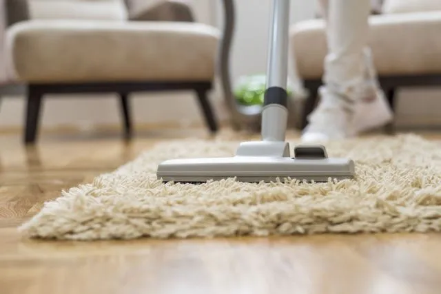 A person vacuums a shaggy beige rug on a wooden floor in a room with upholstered chairs.